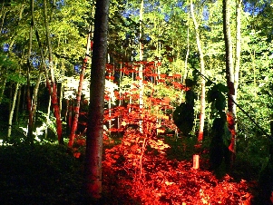 lichtszenen von wind, feuer und wasser